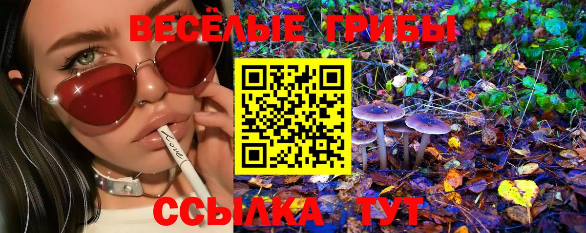 Галлюциногенные грибы MAGIC MUSHROOMS Арсеньев